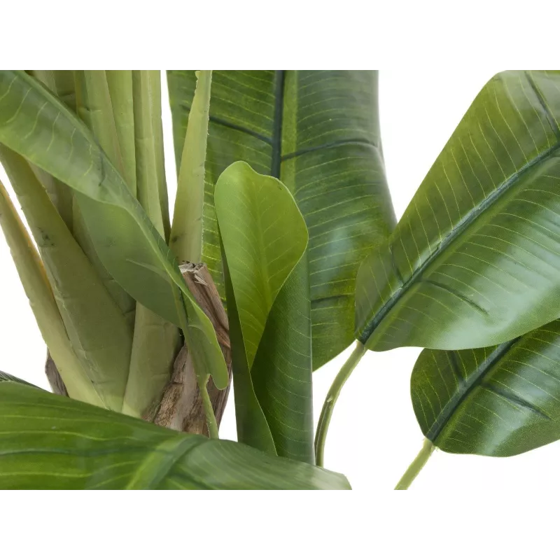 EUROPALMS dirbtinis bananų medis, 170 cm, žali lapai, juoda vaza 82509539