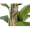 EUROPALMS dirbtinis bananų medis, 170 cm, žali lapai, juoda vaza 82509539