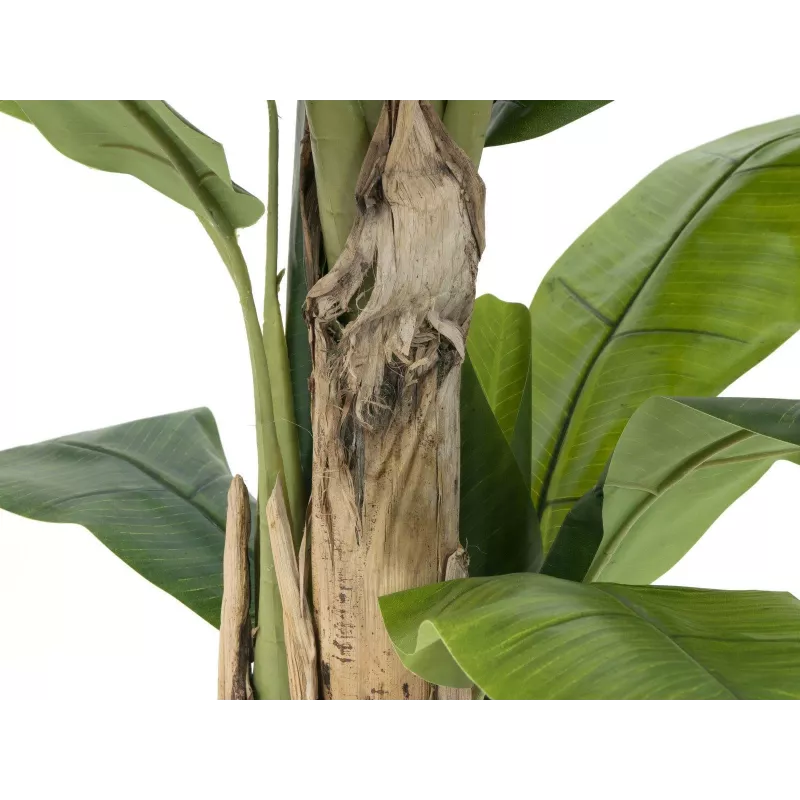 EUROPALMS dirbtinis bananų medis, 170 cm, žali lapai, juoda vaza 82509539