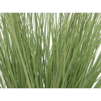 EUROPALMS dirbtinė dekoratyvinė žolė, 65 cm, žalia, juodas vazonas 82600145