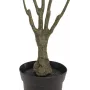EUROPALMS dirbtinis dracenos augalas, žalias-raudonas, 90cm 82505778