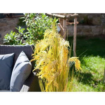 EUROPALMS dirbtinių nendrių žolių puokštė, 118 cm 82600136