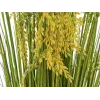 EUROPALMS dirbtinių nendrių žolių puokštė, 118 cm 82600136