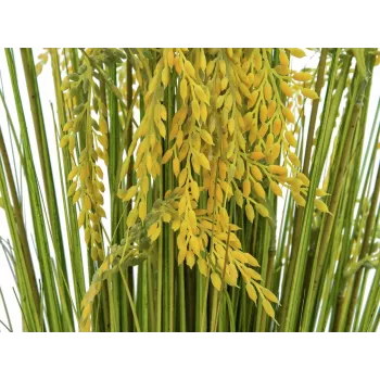 EUROPALMS dirbtinių nendrių žolių puokštė, 118 cm 82600136