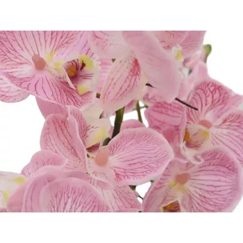 EUROPALMS Orchid Arrangement (EVA), dirbtinė, purpurinė (82530339)