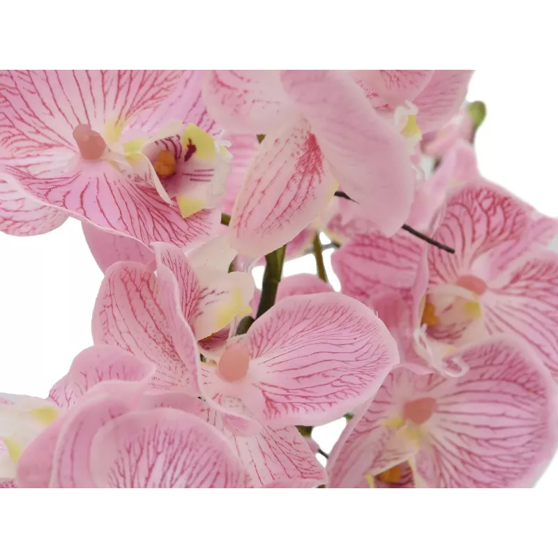 EUROPALMS Orchid Arrangement (EVA), dirbtinė, purpurinė (82530339)