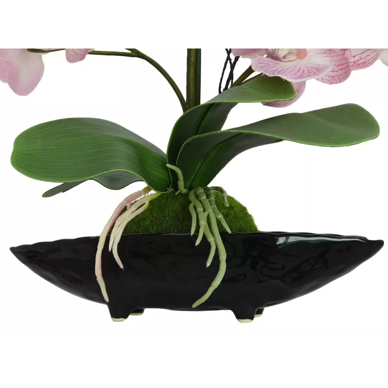 EUROPALMS Orchid Arrangement (EVA), dirbtinė, purpurinė (82530339)