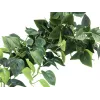 EUROPALMS Pothos Bush Screen Classic, dirbtinis, 100cm 82502203