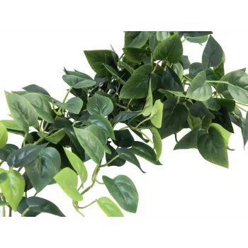 EUROPALMS Pothos Bush Screen Classic, dirbtinis, 100cm 82502203