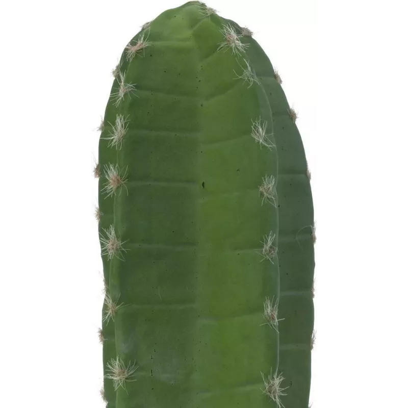 EUROPALMS Mexican Cactus dirbtinis augalas, žalias, 97 cm 82801070