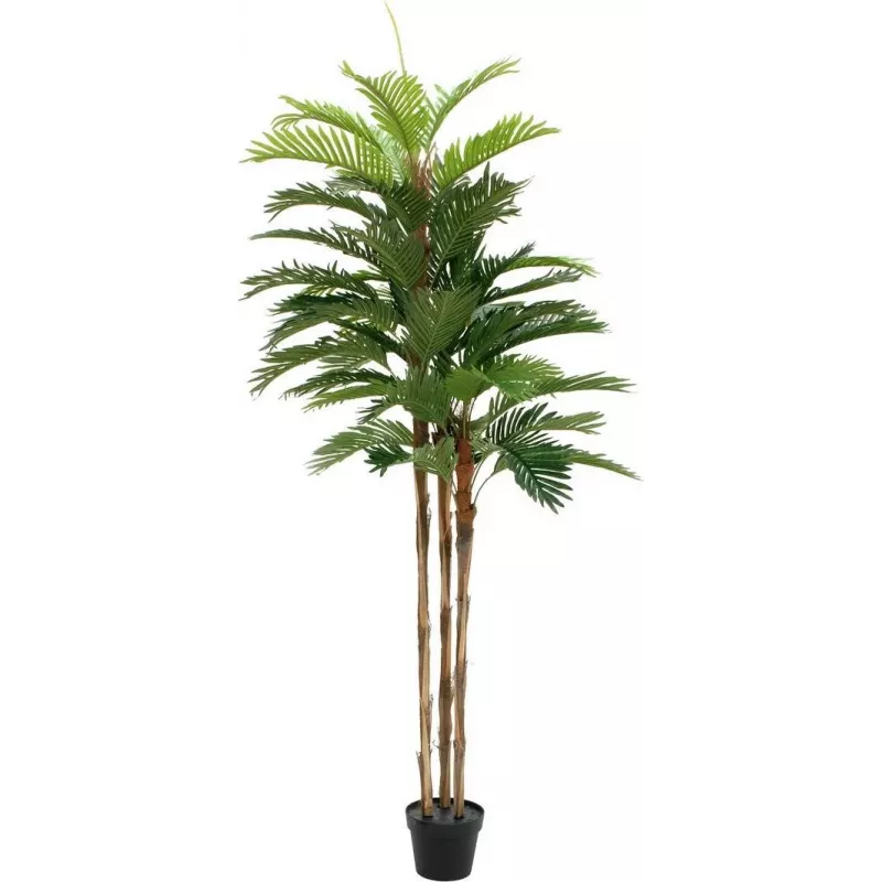 EUROPALMS Kentia Palm dirbtinis augalas 180cm 82511367
