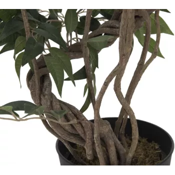 EUROPALMS Ficus Multi Spiral Trunk dirbtinis augalas, 130cm 82806314
