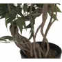 EUROPALMS Ficus Multi Spiral Trunk dirbtinis augalas, 130cm 82806314
