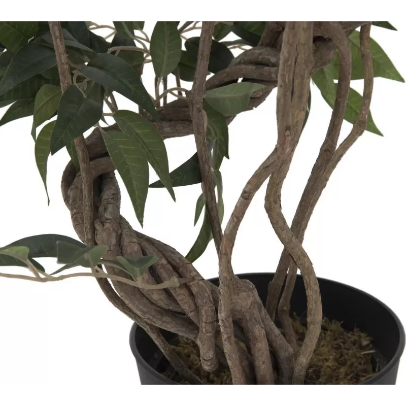 EUROPALMS Ficus Multi Spiral Trunk dirbtinis augalas, 130cm 82806314