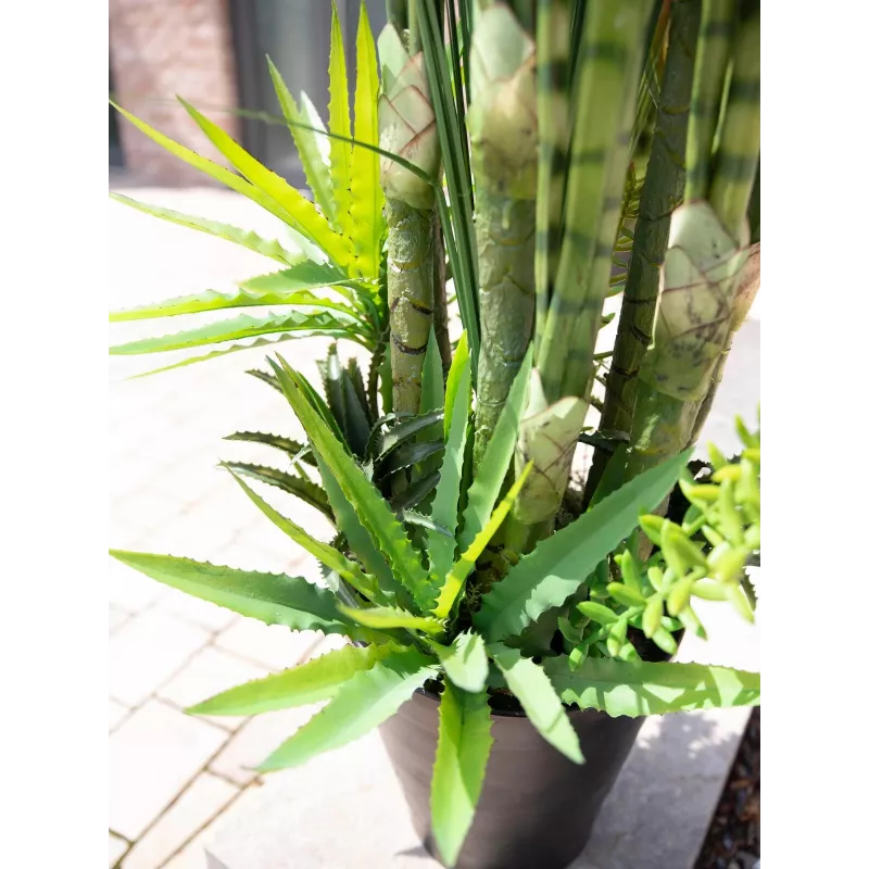 EUROPALMS Succulent Mix dirbtinis augalas, 190cm 82600035