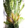 EUROPALMS Succulent Mix dirbtinis augalas, 190cm 82600035