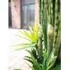 EUROPALMS Succulent Mix dirbtinis augalas, 190cm 82600035