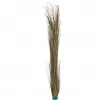 EUROPALMS Dirbtinė nendrinė žolė, chaki, 127 cm 82505853