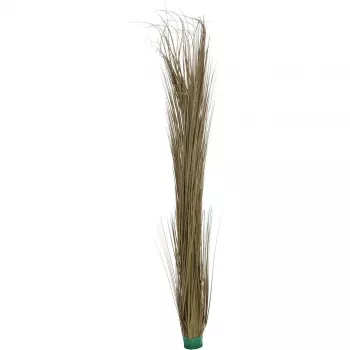 EUROPALMS Dirbtinė nendrinė žolė, chaki, 127 cm 82505853