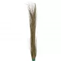 EUROPALMS Dirbtinė nendrinė žolė, chaki, 127 cm 82505853