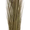 EUROPALMS Dirbtinė nendrinė žolė, chaki, 127 cm 82505853