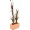 EUROPALMS Dirbtinė nendrinė žolė, chaki, 127 cm 82505853