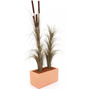 EUROPALMS Dirbtinė nendrių žolė su šiurkščiaisiais šiurkščiaisiais augalais, tamsiai ruda, 152 cm, 82505857
