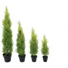 EUROPALMS Leyland Cypress dirbtinis augalas, 120 cm, žali lapai, juodas vazonas 82606964