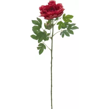EUROPALMS Classic Peony Branch dirbtinis augalas, magenta, 80cm 82530211