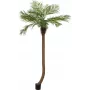 EUROPALMS Luxor lenkta dirbtinė finikų palmė, 240cm 82510726