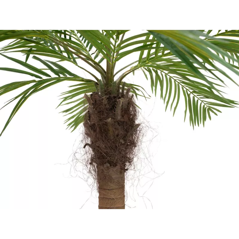 EUROPALMS Luxor lenkta dirbtinė finikų palmė, 240cm 82510726