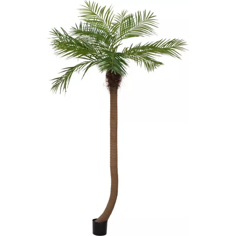 EUROPALMS Luxor lenkta dirbtinė finikų palmė, 240cm 82510726