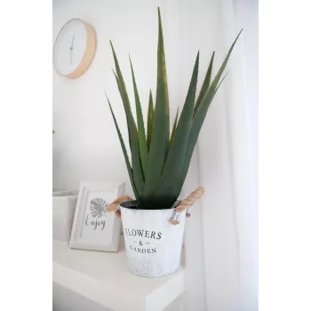 EUROPALMS dirbtinis alavijo augalas, 60 cm, juodas vazonas 82600167