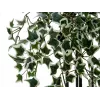 EUROPALMS Holland Ivy Hedge Screen Classic dirbtinė gyvatvorė, 60cm 82502210