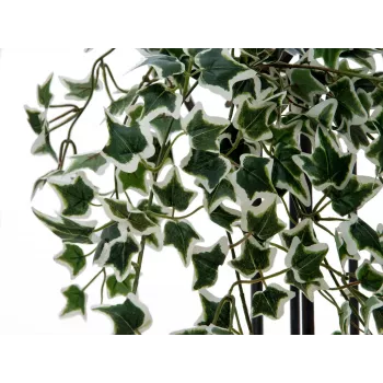 EUROPALMS Holland Ivy Hedge Screen Classic dirbtinė gyvatvorė, 60cm 82502210