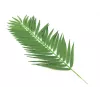 EUROPALMS Coconut Palm Frond dirbtinė palmės šakelė, 110cm, 12 vnt. rinkinys 82509897