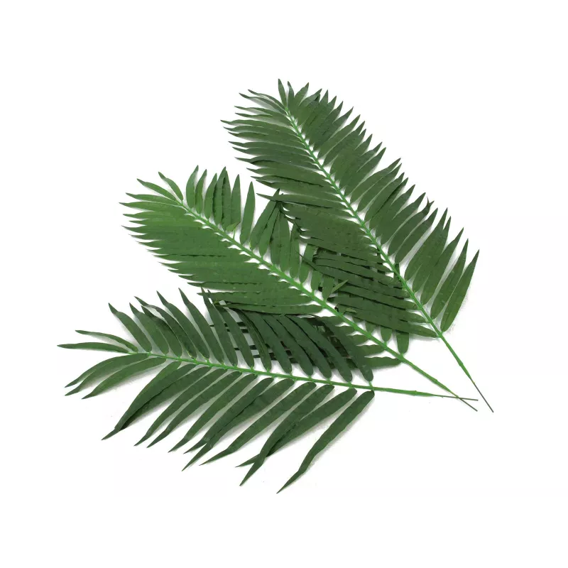EUROPALMS Coconut Palm Frond dirbtinė palmės šakelė, 110cm, 12 vnt. rinkinys 82509897