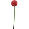 EUROPALMS dirbtinis alliumo stiebas, raudonas, 55cm 82530568