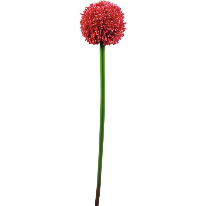 EUROPALMS dirbtinis alliumo stiebas, raudonas, 55cm 82530568