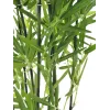EUROPALMS dirbtinis bambukas dekoratyvinėje vazoje, 120cm 82509261