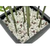 EUROPALMS dirbtinis bambukas dekoratyvinėje vazoje, 120cm 82509261