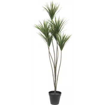 EUROPALMS Yucca Palm dirbtinis augalas, 130cm 82511552