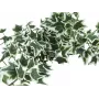 EUROPALMS Holland Ivy Bush Screen Classic dirbtinis gebenės krūmas, 70cm 82502211