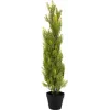 EUROPALMS Leyland Cypress dirbtinis augalas, 90cm, juodas vazonas 82606962