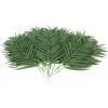 EUROPALMS dirbtinės kokospalmės lapų šakelės, 80 cm, 12 vienetų rinkinys 82509895