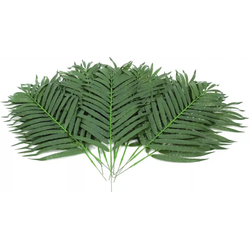 EUROPALMS dirbtinės kokospalmės lapų šakelės, 80 cm, 12 vienetų rinkinys 82509895