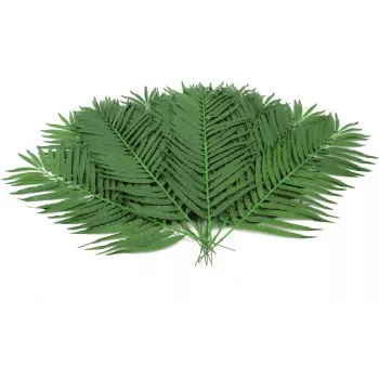 EUROPALMS dirbtinės kokospalmės lapų skrotelės, 90 cm, 12 vnt., žalios 82509896