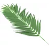 EUROPALMS dirbtinės kokospalmės lapų skrotelės, 90 cm, 12 vnt., žalios 82509896