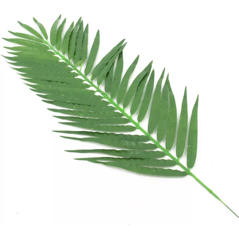 EUROPALMS dirbtinės kokospalmės lapų skrotelės, 90 cm, 12 vnt., žalios 82509896