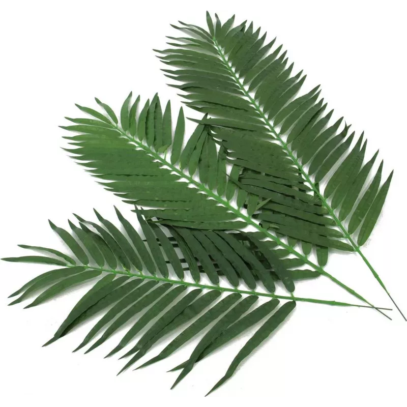 EUROPALMS dirbtinės kokospalmės lapų skrotelės, 90 cm, 12 vnt., žalios 82509896